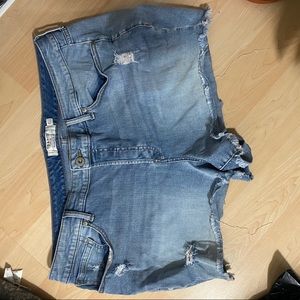 Torrid Shorts